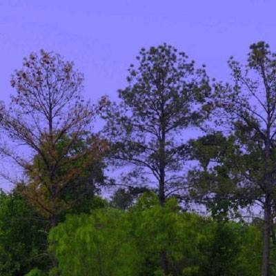 网赌软件在线下载